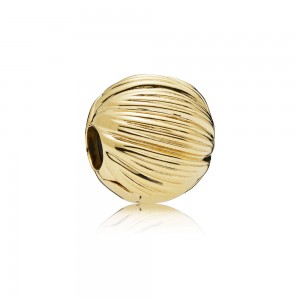 Pandora Charm-Seeds of Elegance Clip-Shine Jewelry
