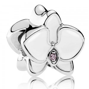 Pandora Bracelet-Elegant Orchid Floral Complete-Leather Jewelry