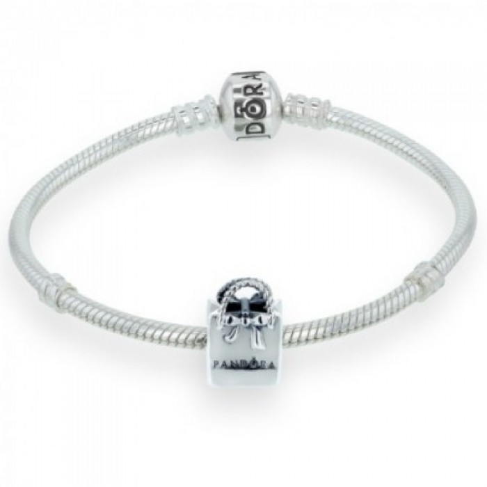 Pandora Bracelet-Bag Fashion Complete Jewelry