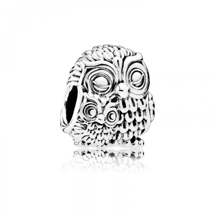 Pandora Charm-ing Owls Jewelry