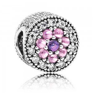 Pandora Charm-Dazzling Floral Floral Jewelry